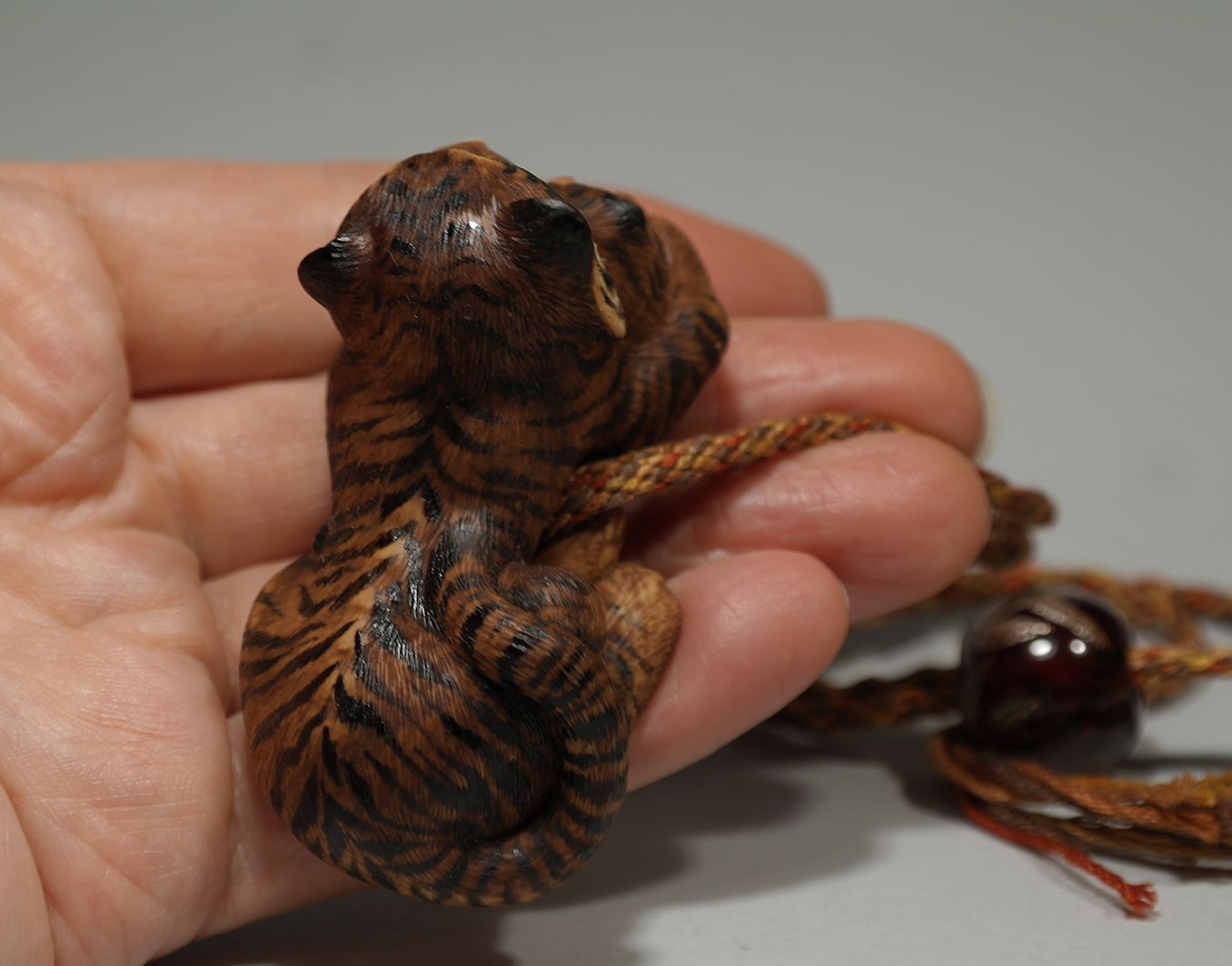 Tigress with a cub 009